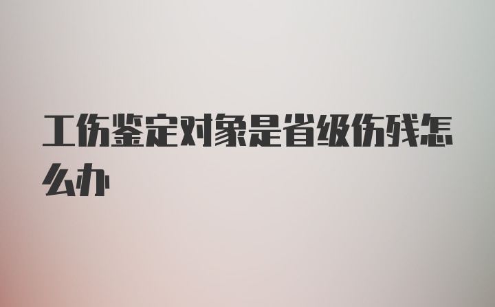 工伤鉴定对象是省级伤残怎么办