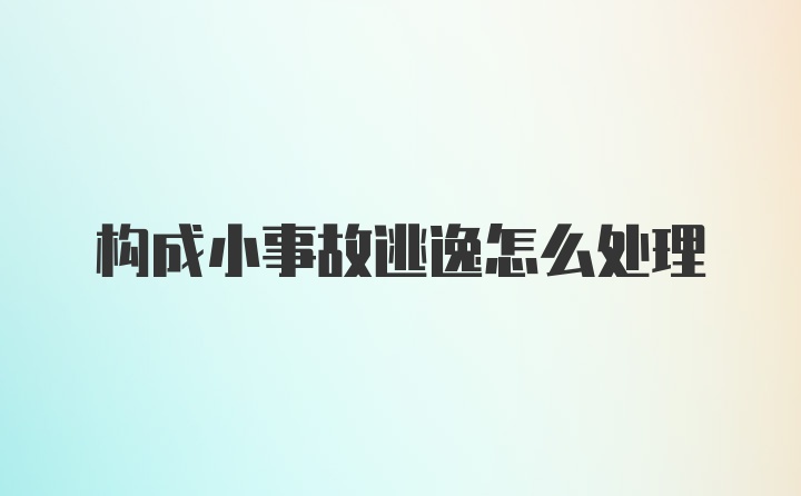 构成小事故逃逸怎么处理