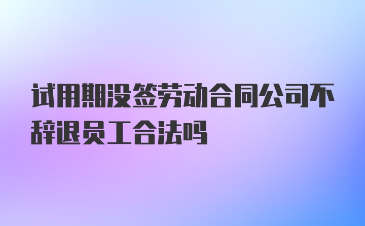 试用期没签劳动合同公司不辞退员工合法吗