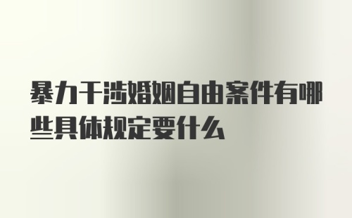 暴力干涉婚姻自由案件有哪些具体规定要什么