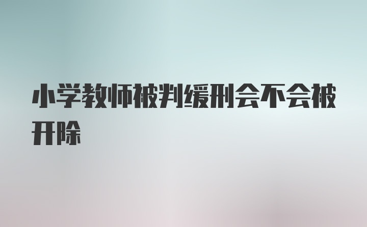 小学教师被判缓刑会不会被开除