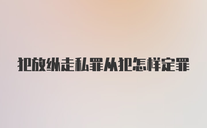 犯放纵走私罪从犯怎样定罪