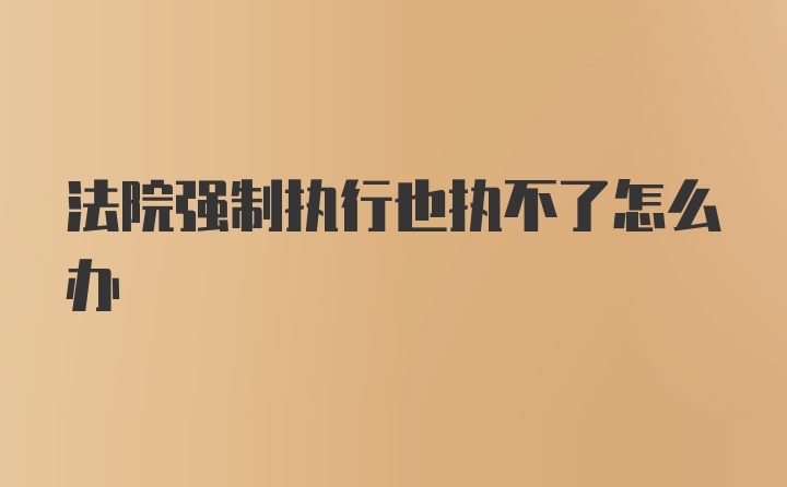 法院强制执行也执不了怎么办