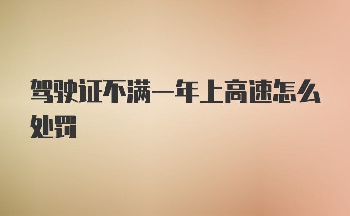 驾驶证不满一年上高速怎么处罚