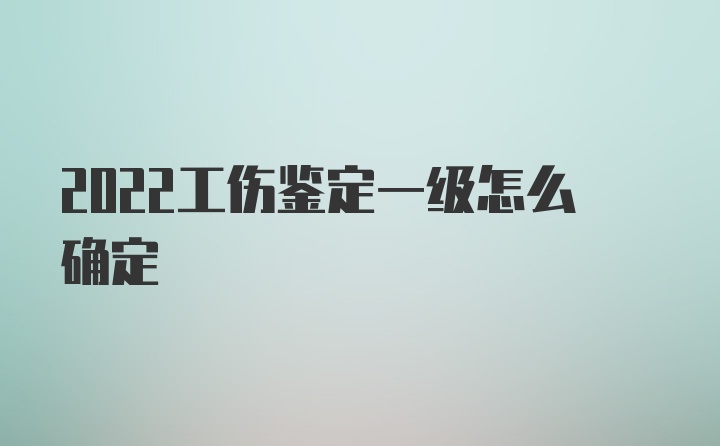 2022工伤鉴定一级怎么确定