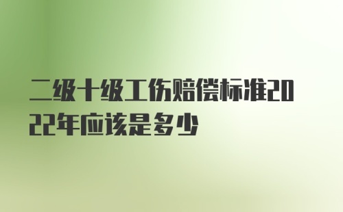 二级十级工伤赔偿标准2022年应该是多少