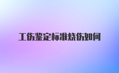 工伤鉴定标准烧伤如何