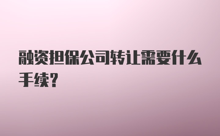 融资担保公司转让需要什么手续?