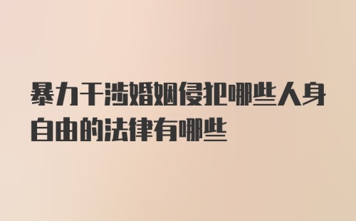 暴力干涉婚姻侵犯哪些人身自由的法律有哪些