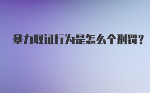 暴力取证行为是怎么个刑罚？