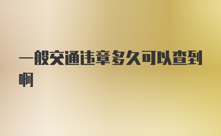 一般交通违章多久可以查到啊