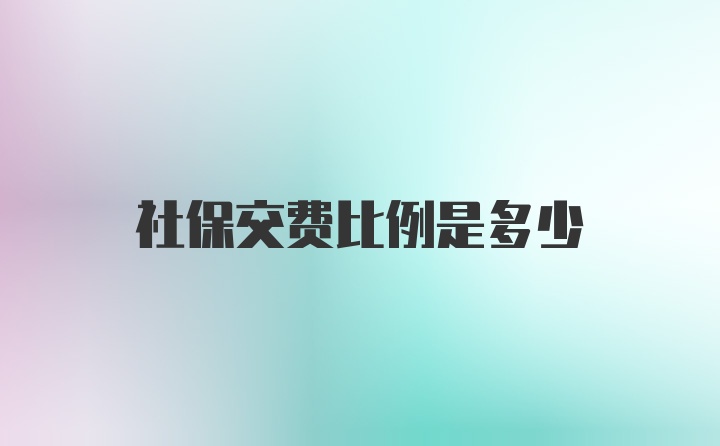 社保交费比例是多少