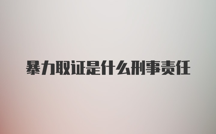 暴力取证是什么刑事责任