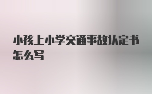 小孩上小学交通事故认定书怎么写