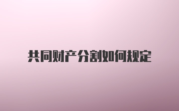 共同财产分割如何规定