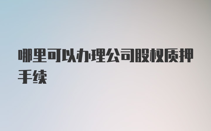 哪里可以办理公司股权质押手续