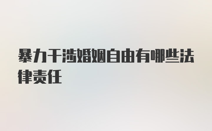 暴力干涉婚姻自由有哪些法律责任