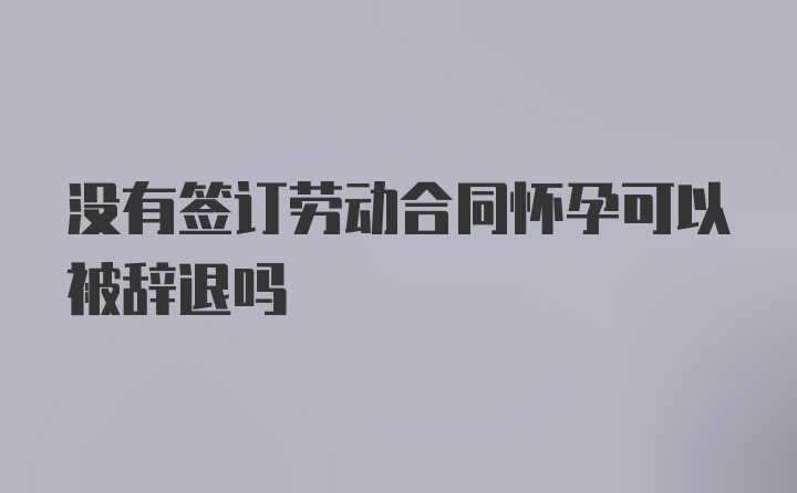 没有签订劳动合同怀孕可以被辞退吗