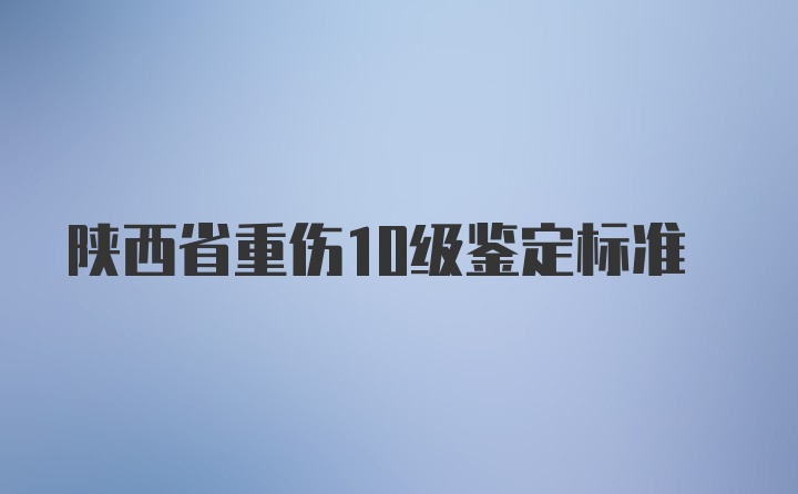 陕西省重伤10级鉴定标准