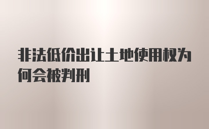 非法低价出让土地使用权为何会被判刑