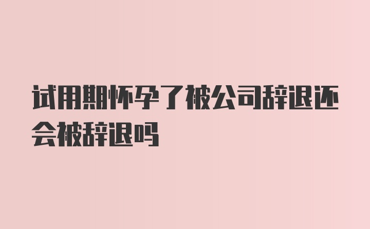 试用期怀孕了被公司辞退还会被辞退吗