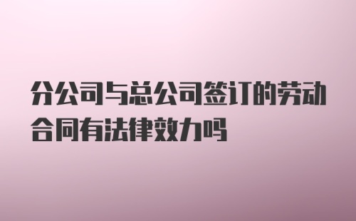 分公司与总公司签订的劳动合同有法律效力吗