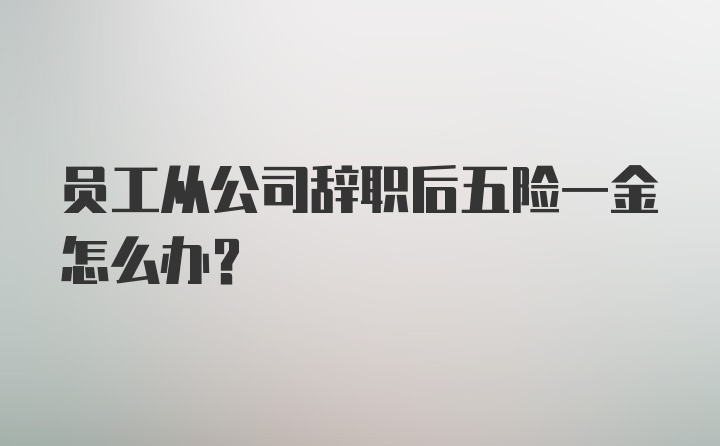 员工从公司辞职后五险一金怎么办？