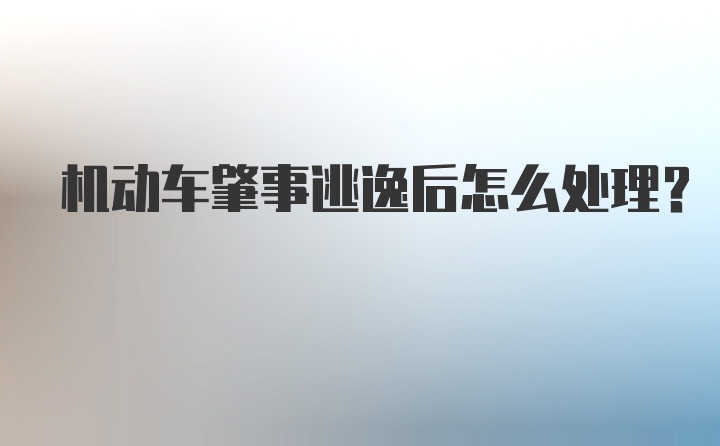 机动车肇事逃逸后怎么处理？