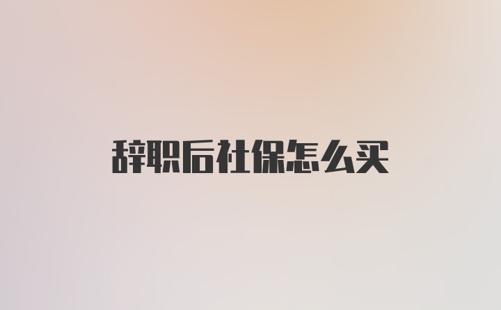 辞职后社保怎么买