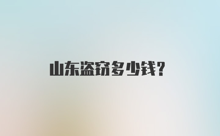 山东盗窃多少钱？