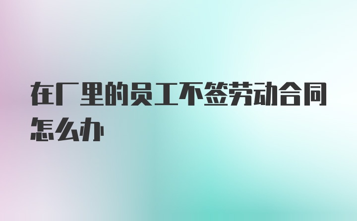 在厂里的员工不签劳动合同怎么办