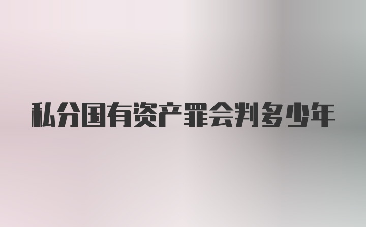 私分国有资产罪会判多少年