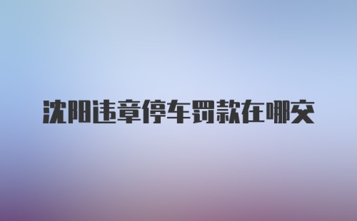 沈阳违章停车罚款在哪交