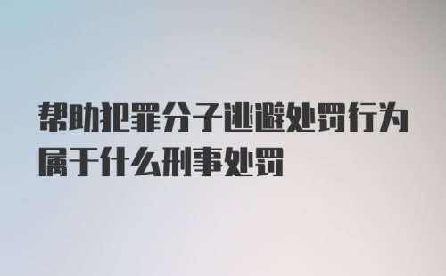 帮助犯罪分子逃避处罚行为属于什么刑事处罚