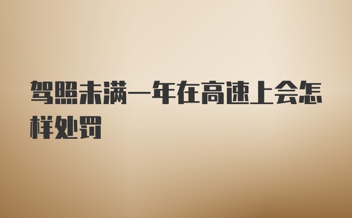 驾照未满一年在高速上会怎样处罚