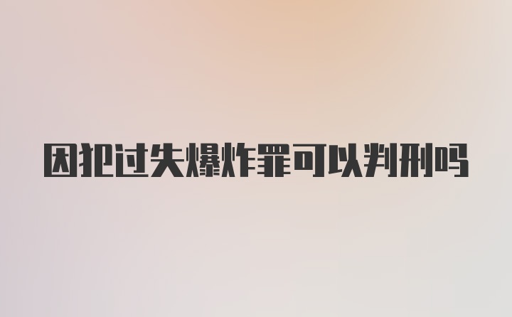 因犯过失爆炸罪可以判刑吗