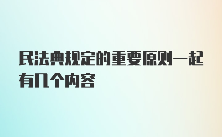 民法典规定的重要原则一起有几个内容