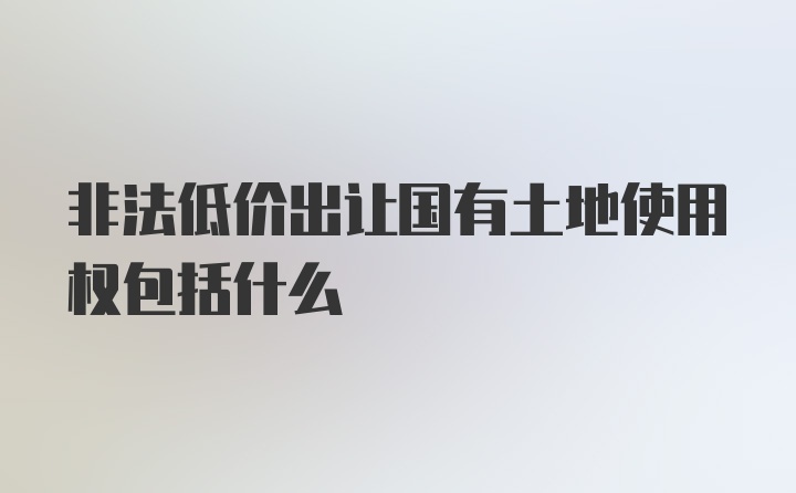 非法低价出让国有土地使用权包括什么