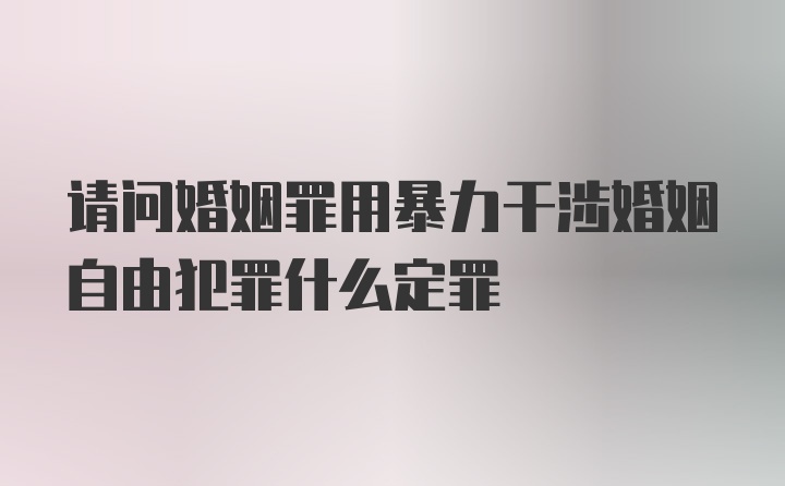 请问婚姻罪用暴力干涉婚姻自由犯罪什么定罪