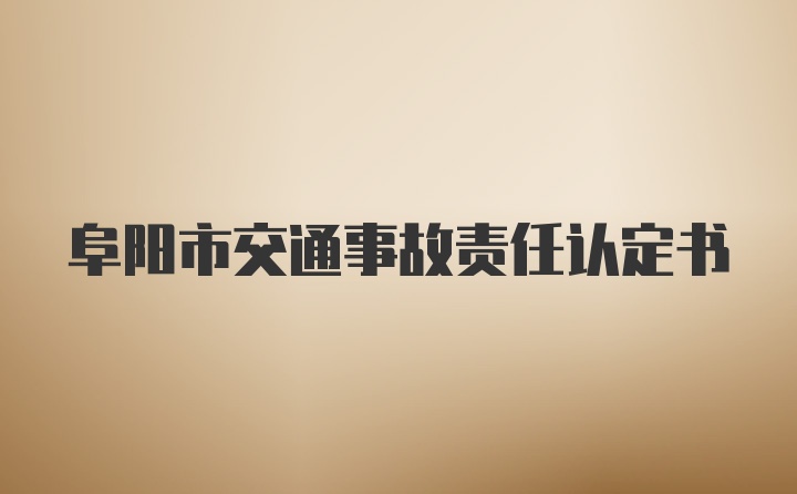 阜阳市交通事故责任认定书