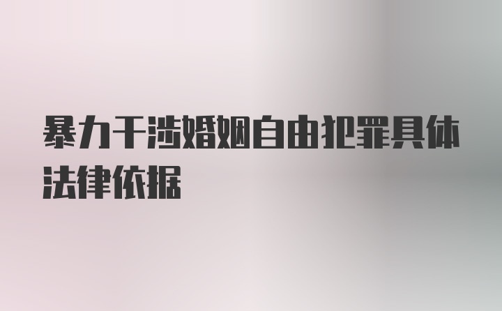 暴力干涉婚姻自由犯罪具体法律依据