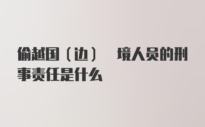 偷越国(边) 境人员的刑事责任是什么