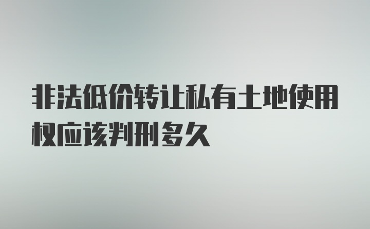 非法低价转让私有土地使用权应该判刑多久