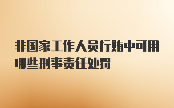 非国家工作人员行贿中可用哪些刑事责任处罚