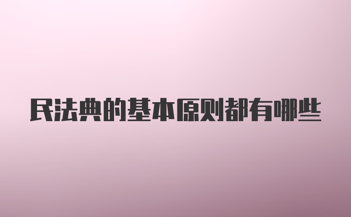 民法典的基本原则都有哪些