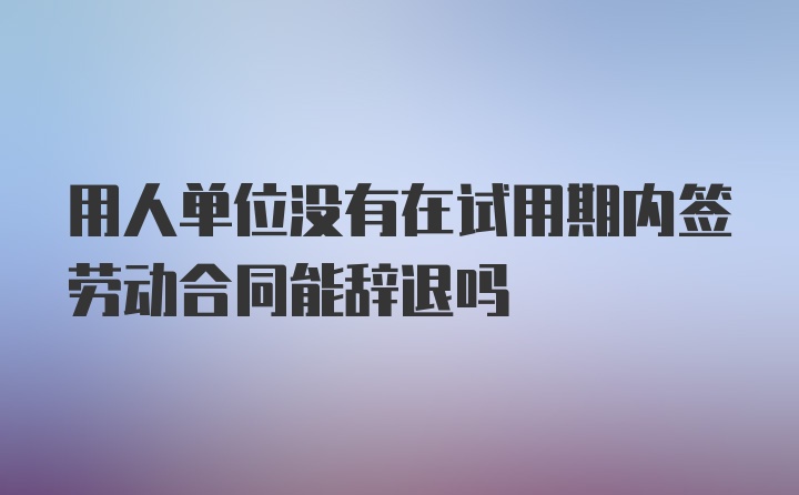 用人单位没有在试用期内签劳动合同能辞退吗