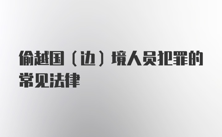 偷越国（边）境人员犯罪的常见法律