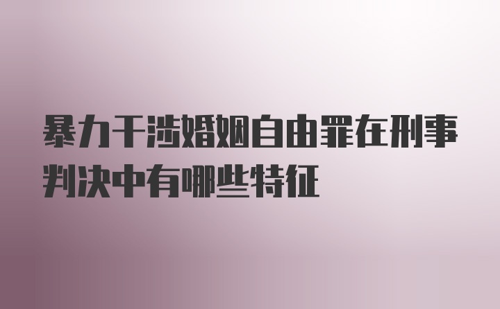 暴力干涉婚姻自由罪在刑事判决中有哪些特征