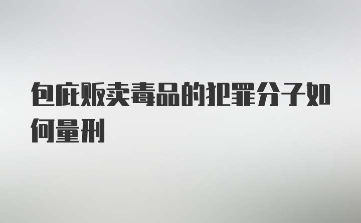 包庇贩卖毒品的犯罪分子如何量刑