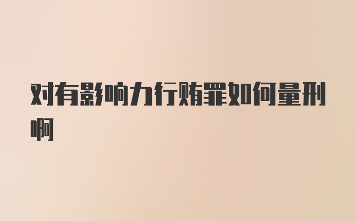 对有影响力行贿罪如何量刑啊